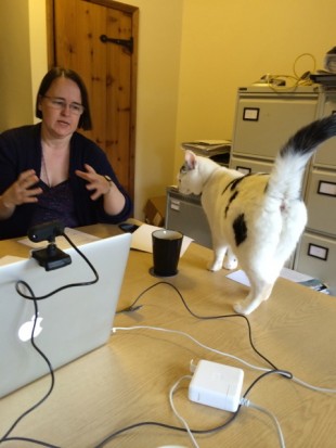 A cat arrives on the table while Cathy is researching 