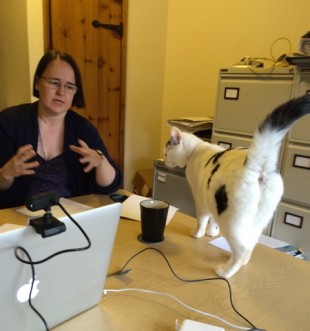 Surprise research participant, a cat, arrives on Cathy's desk